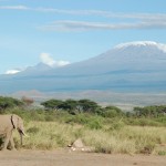 "Elephant and Kilimanjaro" by Charles Asik from Dar es Salaam, Tanzania. Licensed under CC BY 2.0 via Wikimedia Commons